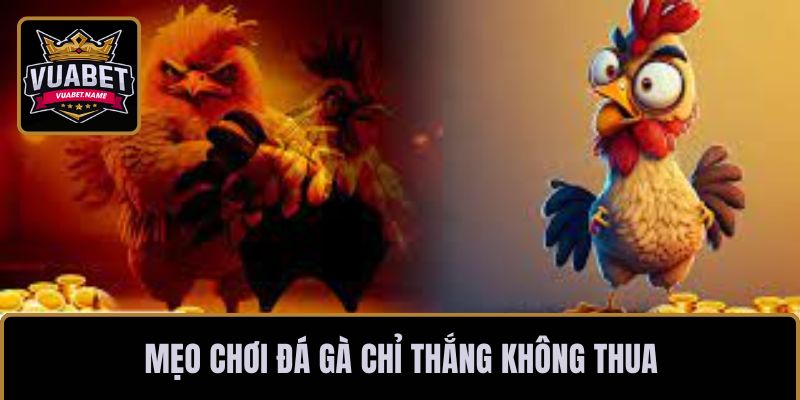 Mẹo chơi đá gà chỉ thắng không thua