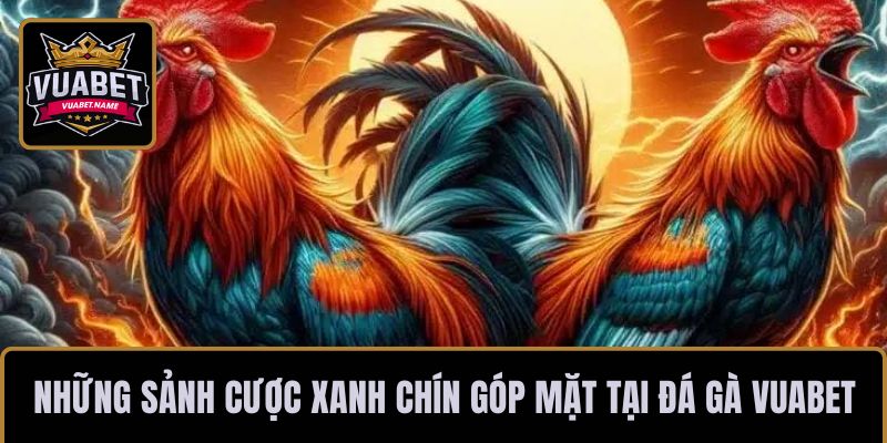 Những sảnh cược xanh chín góp mặt tại đá gà VUABET