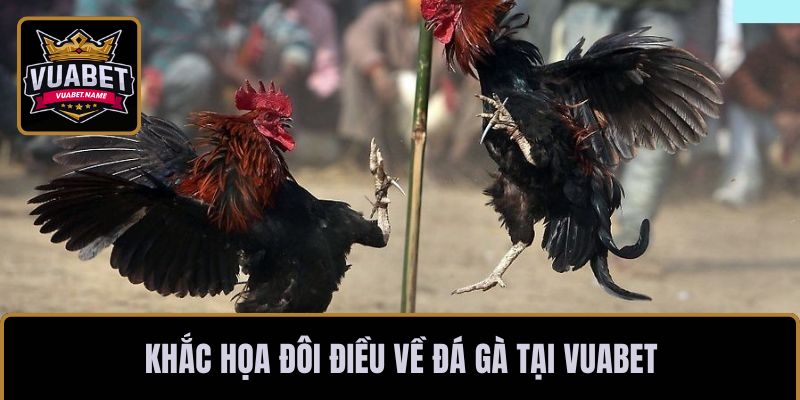 Khắc họa đôi điều về đá gà tại VUABET