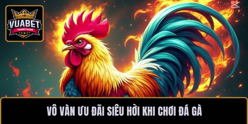 Vô vàn ưu đãi siêu hời khi chơi đá gà