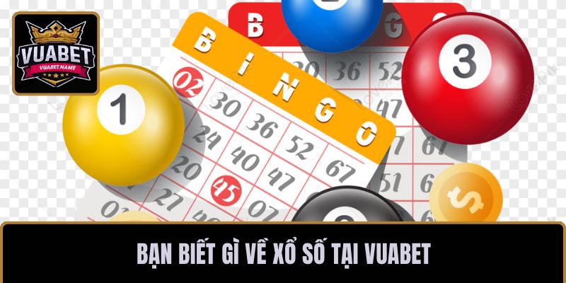 Bạn biết gì về xổ số tại VUABET